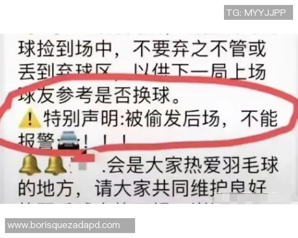 羽毛球评论：深圳羽毛球队的运营得失