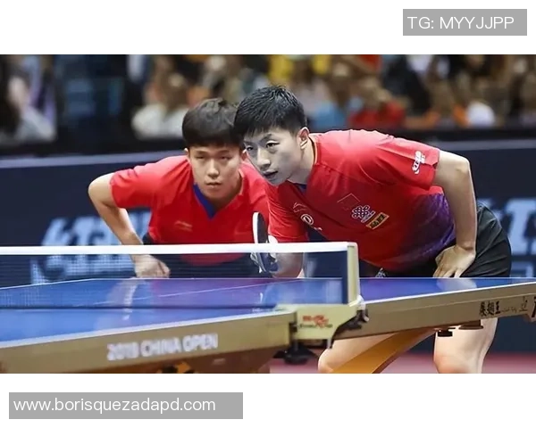 乒乓球巨献：探秘西安乒乓球队的技术