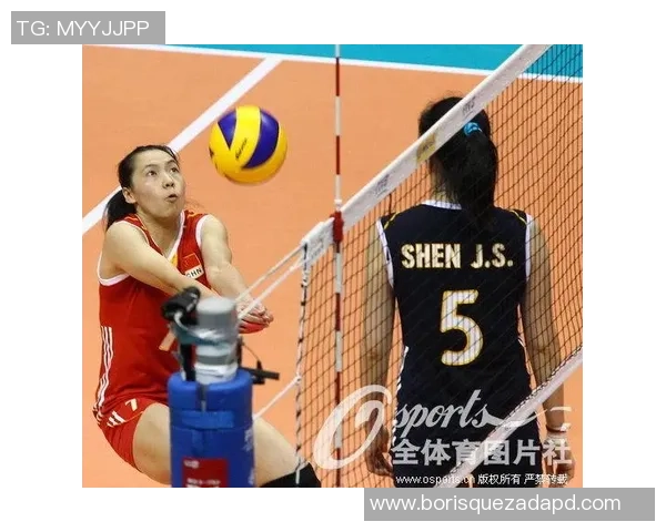 杨磊专访：回顾排球历程