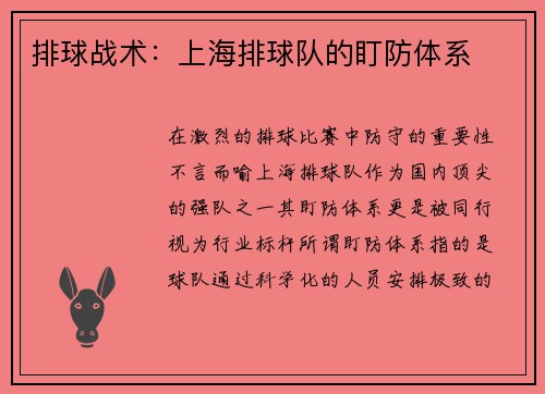 排球战术：上海排球队的盯防体系